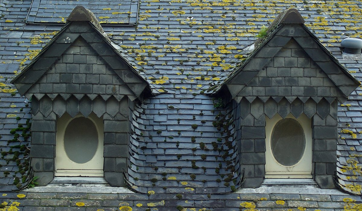 Understanding Building Regulations for Loft Conversions